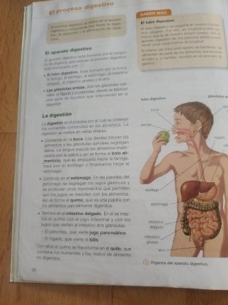 Ciencias de la naturaleza 5 primaria