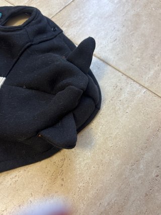 Disfraz Murciélago Perro/Gato Alas