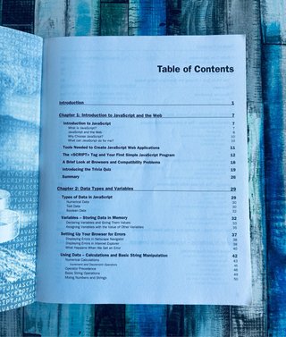 Beginning JavaScript 2000 Wrox Press Paul Wilton