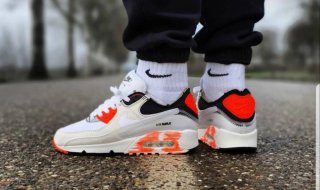 Nike Air Max Premium