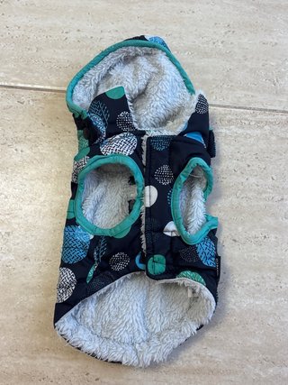 Chaqueta para perro pequeño con capucha