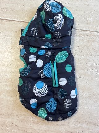 Chaqueta para perro pequeño con capucha