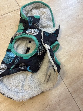 Chaqueta para perro pequeño con capucha