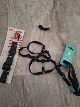 Collar, arnés, accesorio cinturón para perro