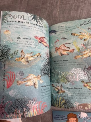 Vendo El gran libro del mar, y regalo 3 libros
