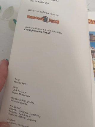 Guida City Sightseeing Napoli Massa Editore Itiner