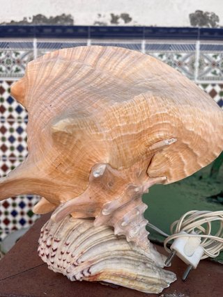 Lámpara Caracola Decorativa
