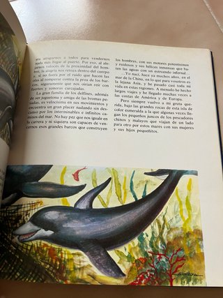 El misterioso mundo de los peces