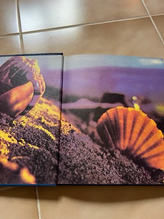 El misterioso mundo de los peces