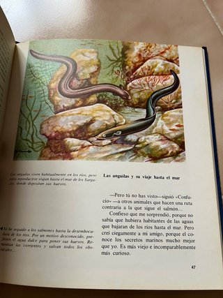 El misterioso mundo de los peces
