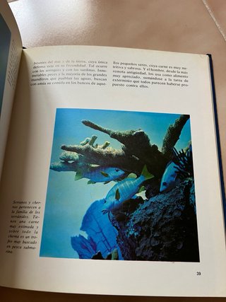 El misterioso mundo de los peces
