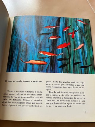 El misterioso mundo de los peces