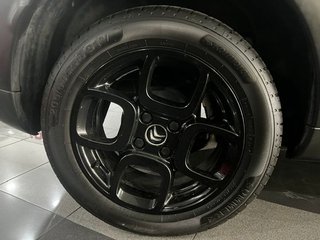 Citroën C4 Cactus Feel