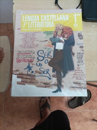 Lengua Castellana y Literatura, 1 Bach. Proyect...