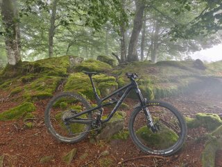 Canyon Spectral CF 8 Talla M