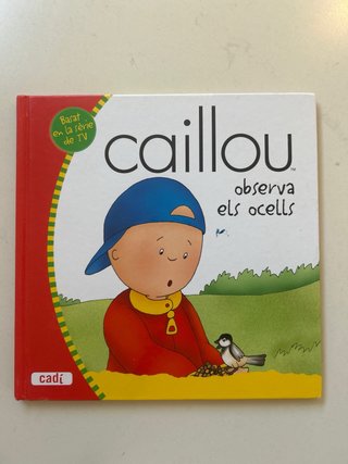 Caillou planea una sorpresa