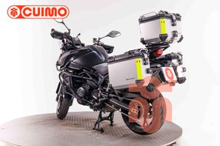 QJ MOTOR SRT 900 SX