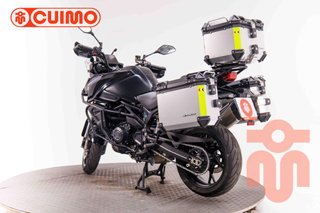 QJ MOTOR SRT 900 SX