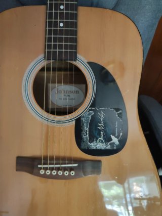 Guitarra Acústica Johnson