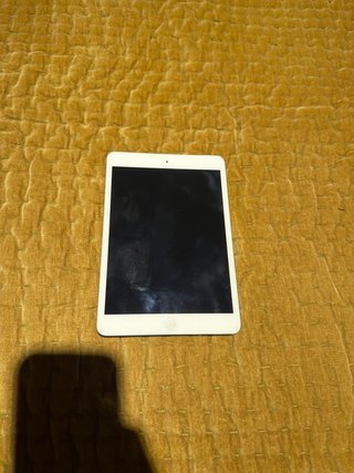 Apple iPad mini