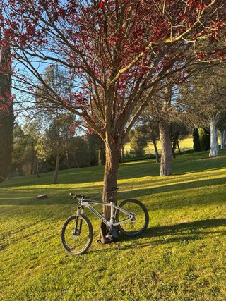 Bicicleta Mondraker Podium Carbon