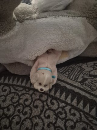 Peluche perro blanco y marrón con lazo