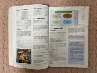 El joc infantil i la seva metodologia
