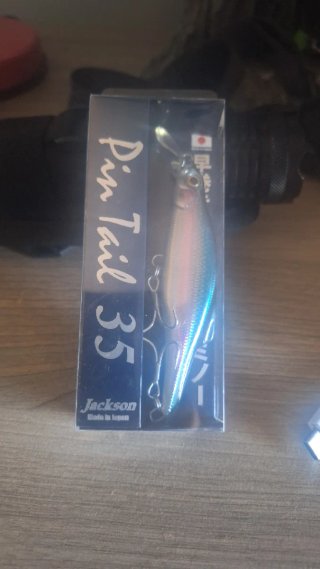Señuelo Jackson Pin Tail 35