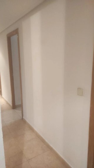 Pintor economico