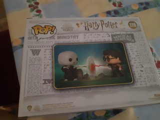 Funko Pop Harry vs Voldemort 119