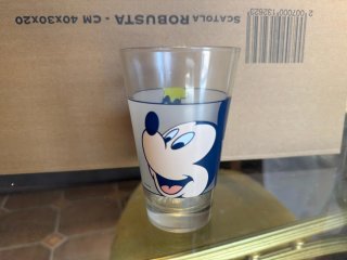 Set 2 Bicchieri Disney Topolino e Paperina
