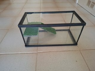 Tortuguera de cristal con rampa