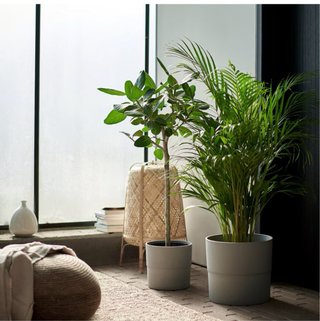 5 Macetas de poliuretano gris 24 cm con 5 platos