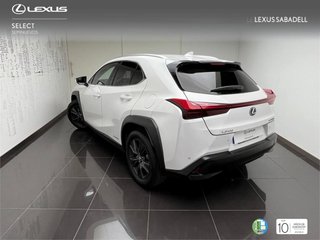Lexus UX250H BUSINESS 2022 REF 5813