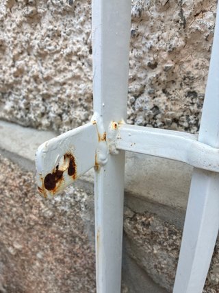 Reja de seguridad para ventana de hierro