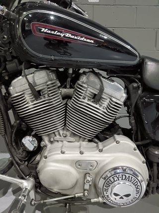 Harley Davidson Sportster 883C