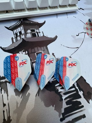 Plumas de Dardos Winmau PDC