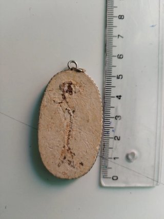 Colgante Fósil Ovalado
