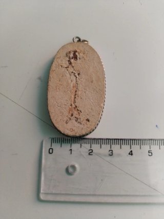Colgante Fósil Ovalado