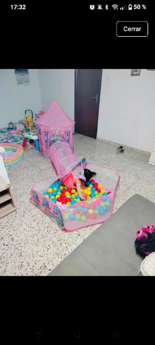 Casita de princesas con túnel y piscina de bolas