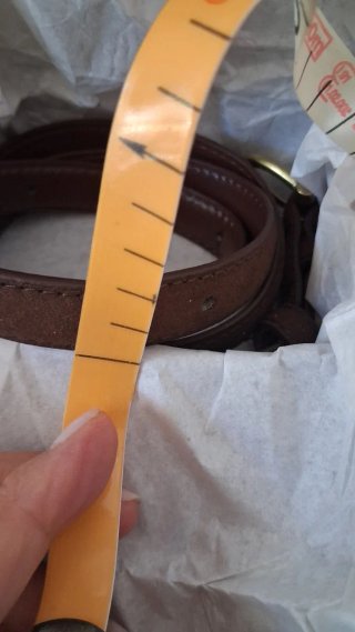 Cintura scamosciata marrone