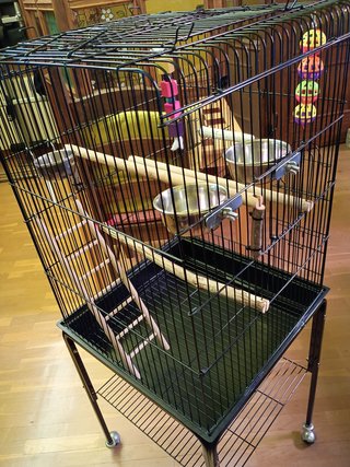 Jaula para Loro Grande