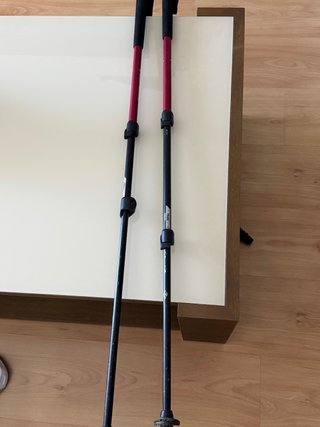 Bastones Trekking Black Diamond