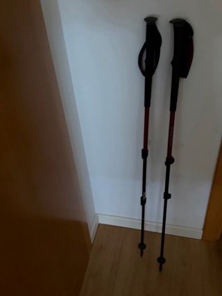 Bastones Trekking Black Diamond