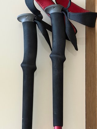 Bastones Trekking Black Diamond