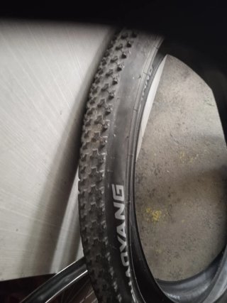 Coppia di pneumatici MTB 29