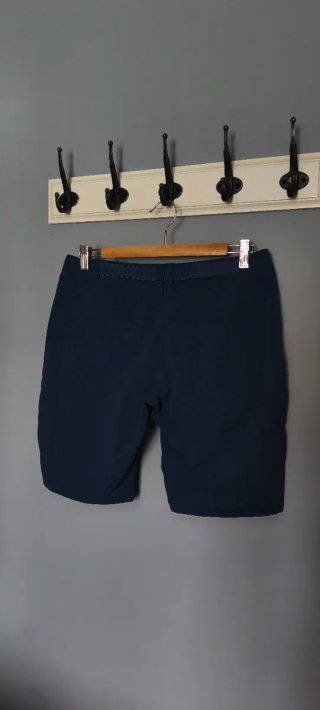 Ternua Pantalones Cortos Trekking Azul/Teal