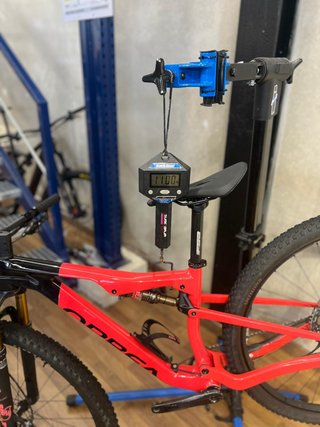 Orbea Oiz M10 2022 / Talla S / 29"