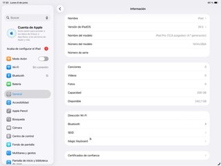 iPad Pro 12.9 4ª Gen 256GB