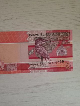 Billete  gambia